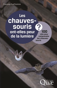 02376HDQ_chauvesouris