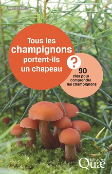 02432HDQ_champignons