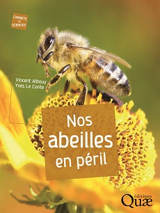 abeilles et pesticides