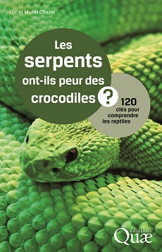 caméléon