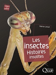 Insectes, histoires insolites
