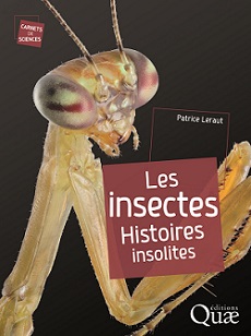 Des insectes dans notre assiette