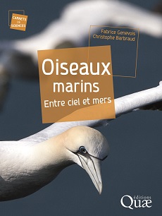 02490HDQ_Oiseauxmarinns