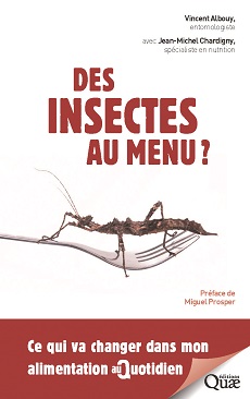 consommation d'insectes