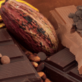 cacao et tablette de chocolat