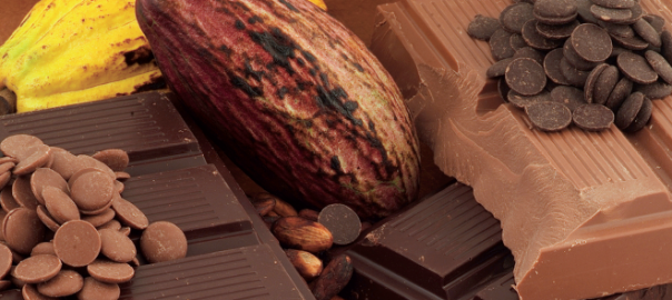 cacao et tablette de chocolat