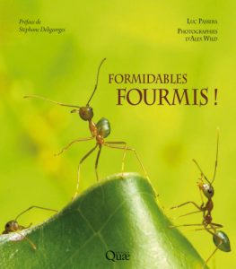 Couverture du livre Formidables fourmis !