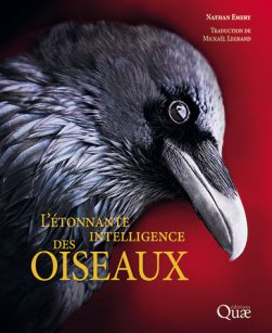 Couverture L'étonnante intelligence des oiseaux, un livre décrivant les mécanismes de l'intelligence aviaire