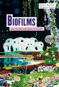 Biofilms, la vie des microbes en société