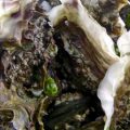 60 clés pour comprendre les huîtres